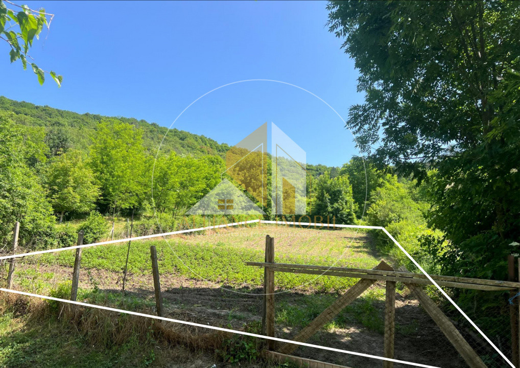 Teren intravilan de vanzare -Tonciu