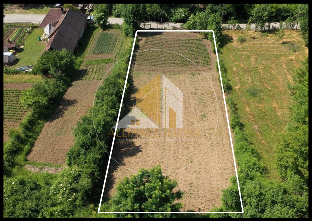 Teren intravilan de vanzare -Tonciu