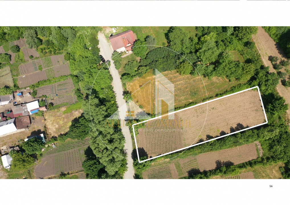 Teren intravilan de vanzare -Tonciu