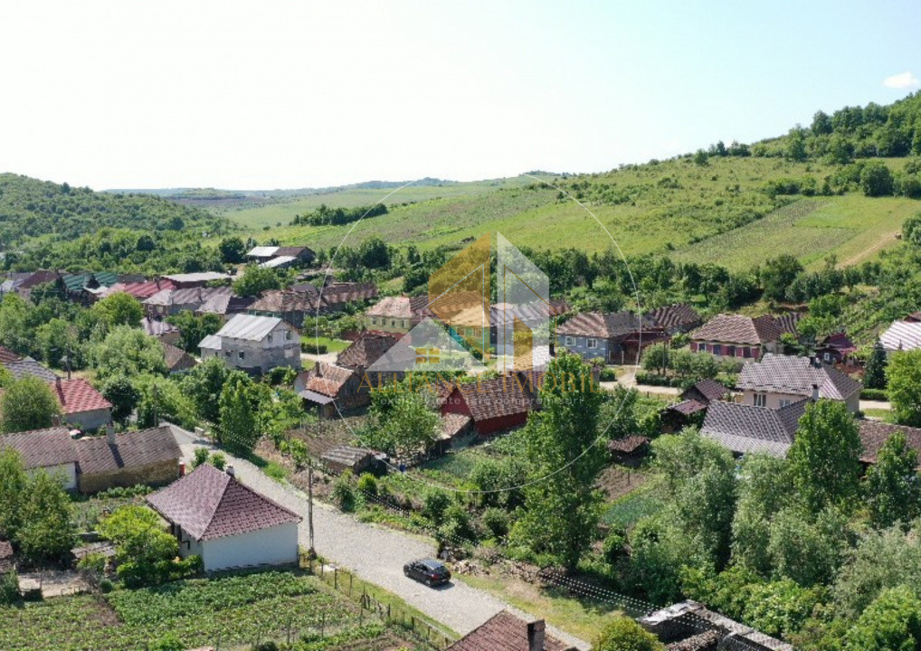 Teren intravilan de vanzare -Tonciu