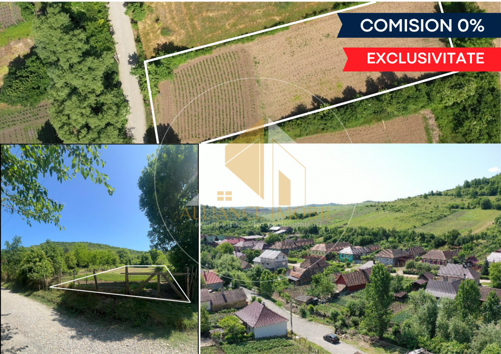 Teren intravilan de vanzare -Tonciu