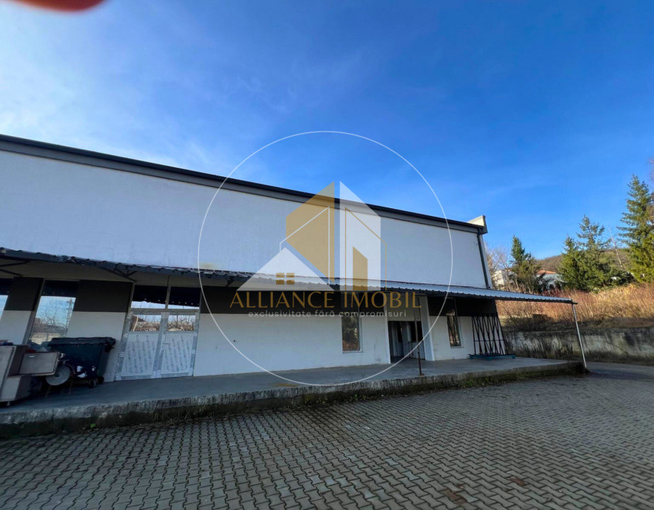 Spațiu industrial cu utilizare mixtă(producție ,depozit, birouri) – de închiriat
