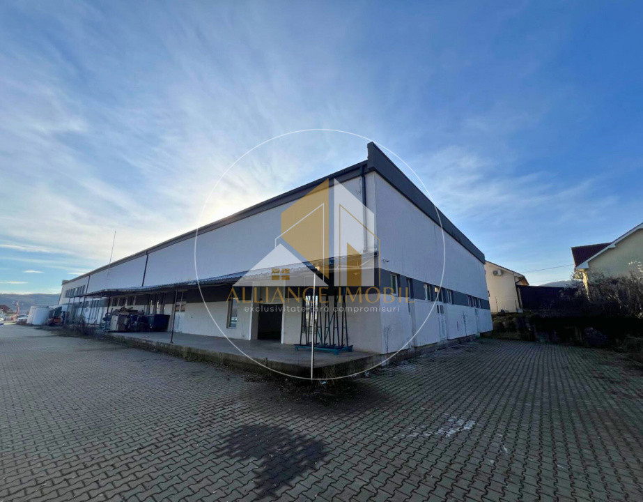 Spațiu industrial cu utilizare mixtă(producție ,depozit, birouri) – de închiriat