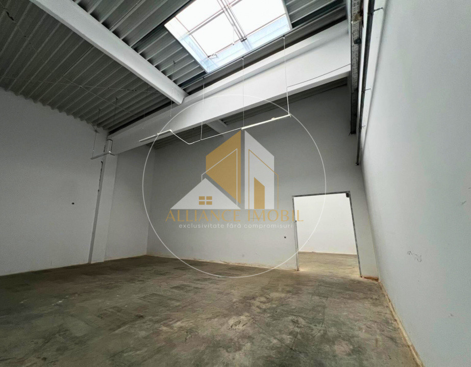 Spațiu industrial cu utilizare mixtă(producție ,depozit, birouri) – de închiriat