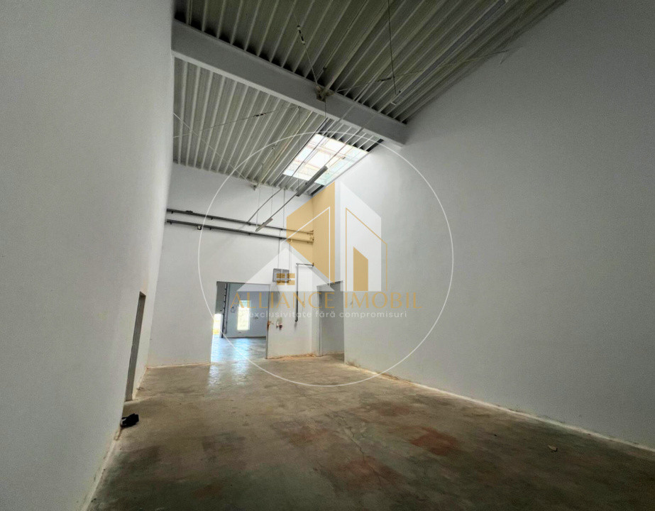 Spațiu industrial cu utilizare mixtă(producție ,depozit, birouri) – de închiriat