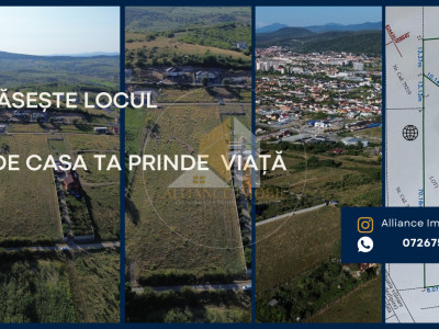 Teren de Vânzare Aleea Trifoiului - O Investiție în Viitorul Tău.